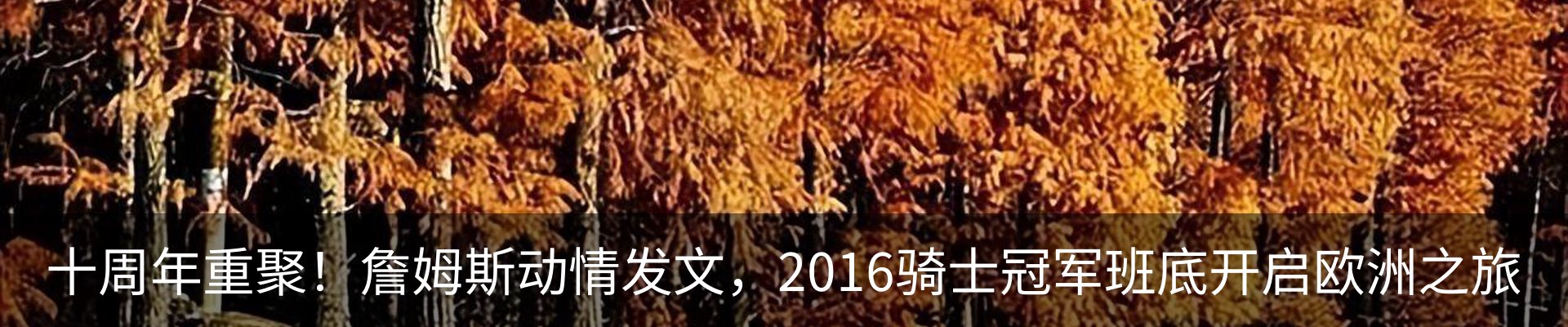 新闻中心
